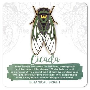 Cicada Enamel Pin - Gold Plated‎ Nature Jewelry - Garden, Insect, & Bug Brooch